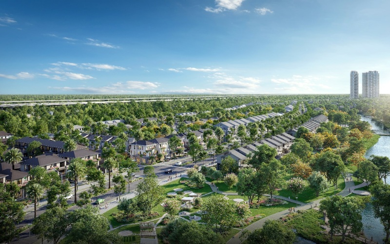 "Rừng mai" rực rỡ tại Eco Retreat