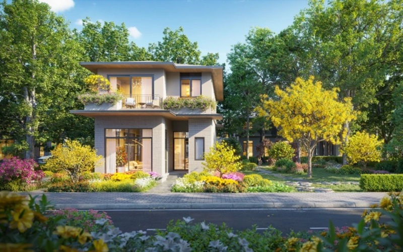 "Rừng mai" rực rỡ tại Eco Retreat