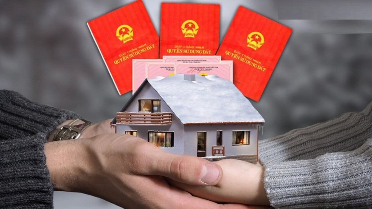Bao Nhiêu Tuổi Được Đứng Tên Sổ Đỏ? Sự Thật Ít Người Biết Về Quyền Sở Hữu Đất Đai 1 Bao nhiêu tuổi được đứng tên sổ đỏ