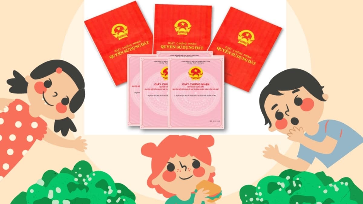 Bao Nhiêu Tuổi Được Đứng Tên Sổ Đỏ? Sự Thật Ít Người Biết Về Quyền Sở Hữu Đất Đai