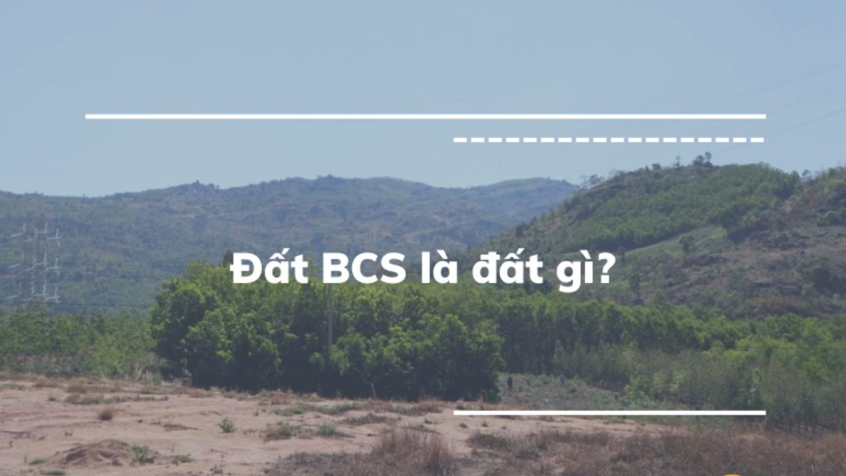 Đất BCS Là Gì? Quy Định Đền Bù Và Cấp Sổ Đỏ Mới Nhất 2026