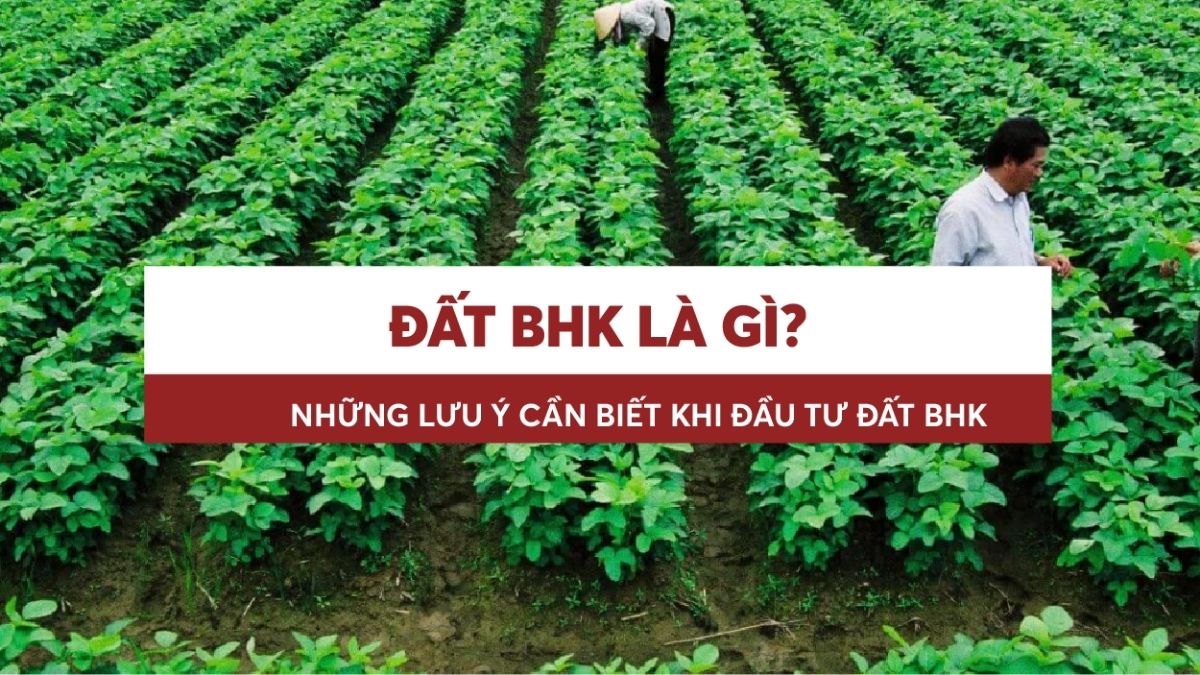 Đất BHK Là Gì? Có Chuyển Mục Đích Sử Dụng Đất Được Không?