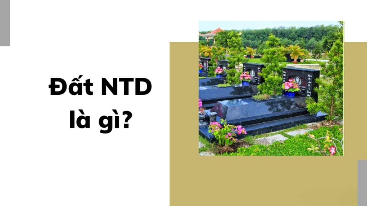 NTD Là Đất Gì? Hướng Dẫn Cách Nhận Biết Và Sử Dụng Đúng Quy Định