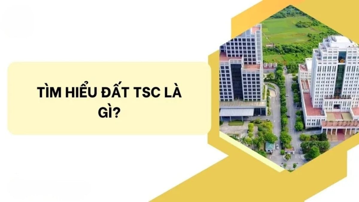 Đất TSC Là Đất Gì? Có Được Chuyển Đổi Sang Đất Thổ Cư Theo Luật Mới Không?
