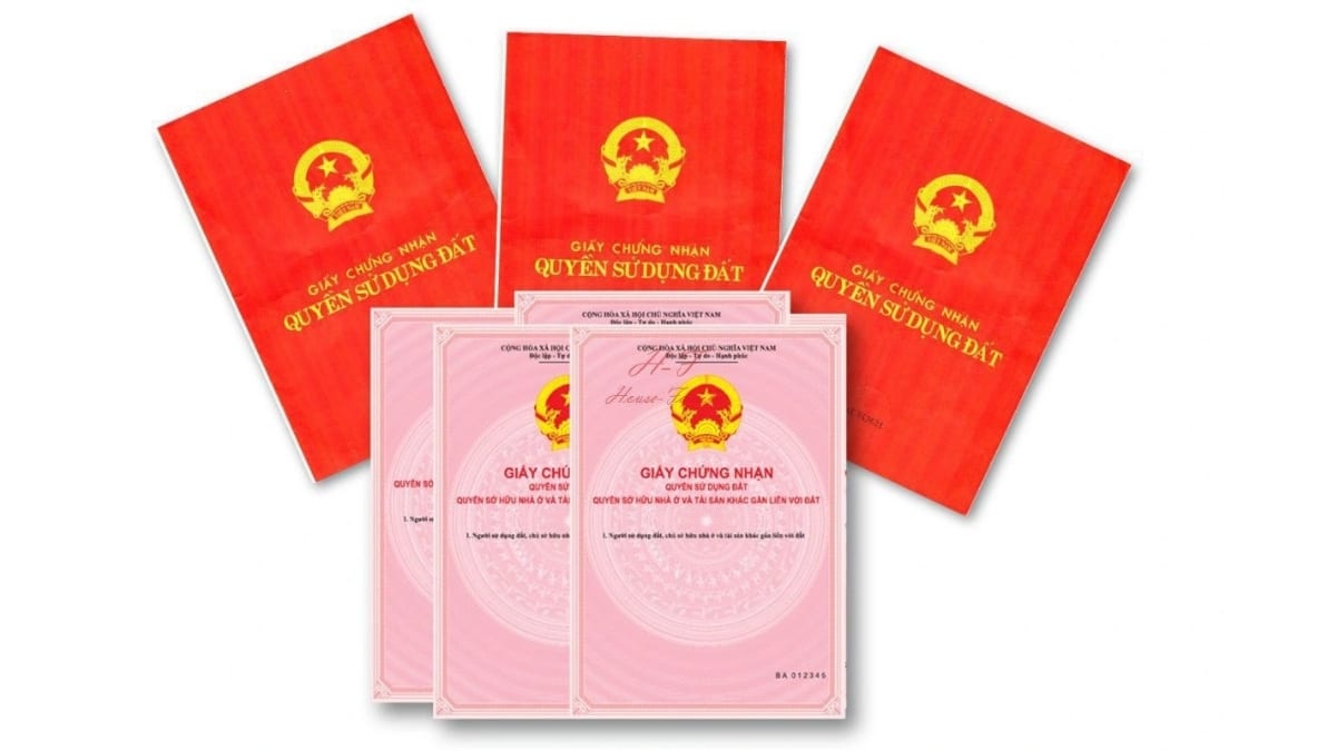 Đất LUC là đất gì