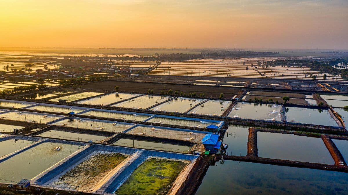 Đất NTS là đất gì