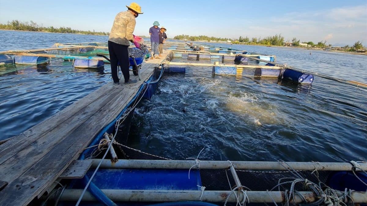 Đất NTS là đất gì