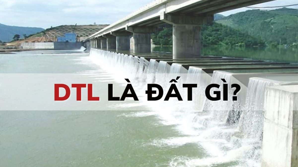 DTL Là Đất Gì Và Những Quy Định Sử Dụng Mới Nhất Hiện Nay