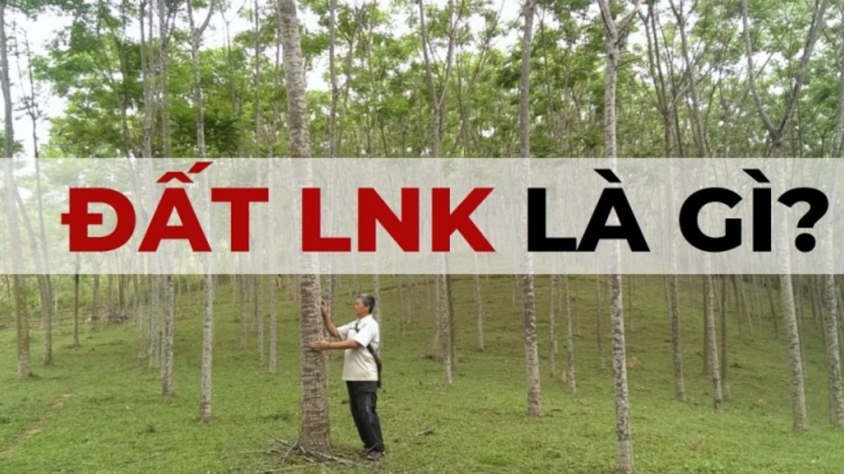 Lnk Là Đất Gì Và Điều Kiện Chuyển Đổi Sang Đất Thổ Cư Năm 2026