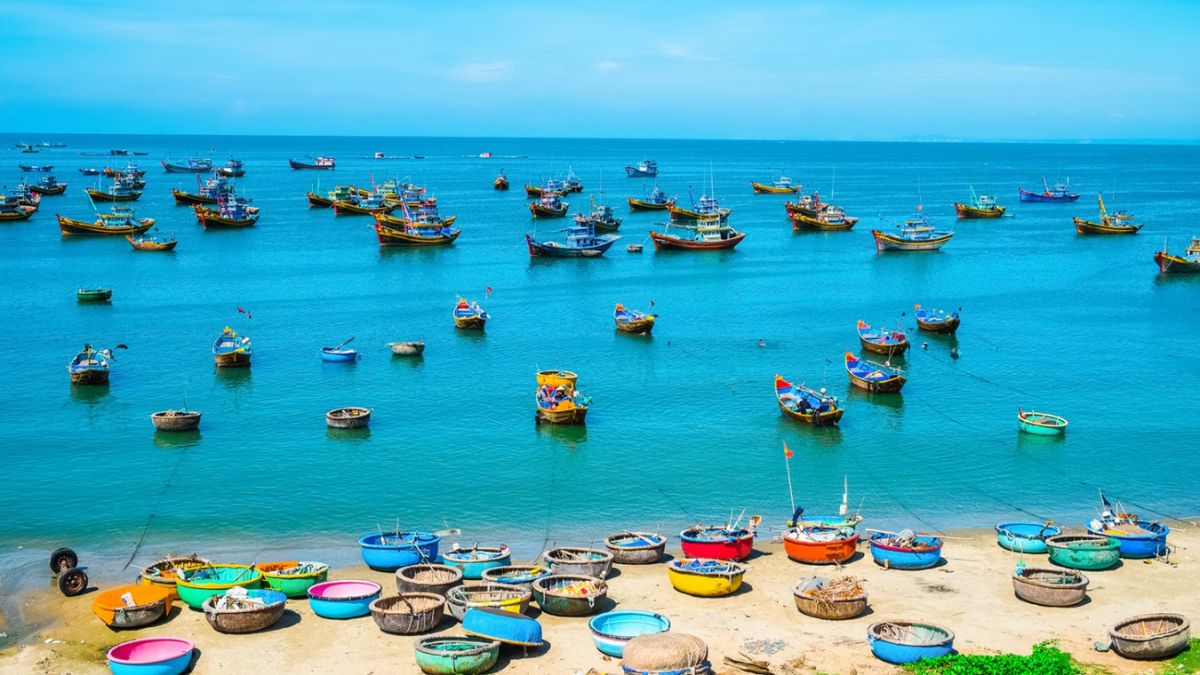 MNC là đất gì