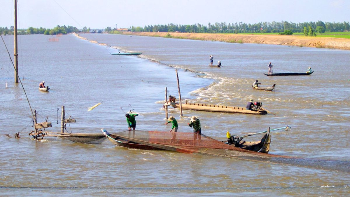 MNC là đất gì