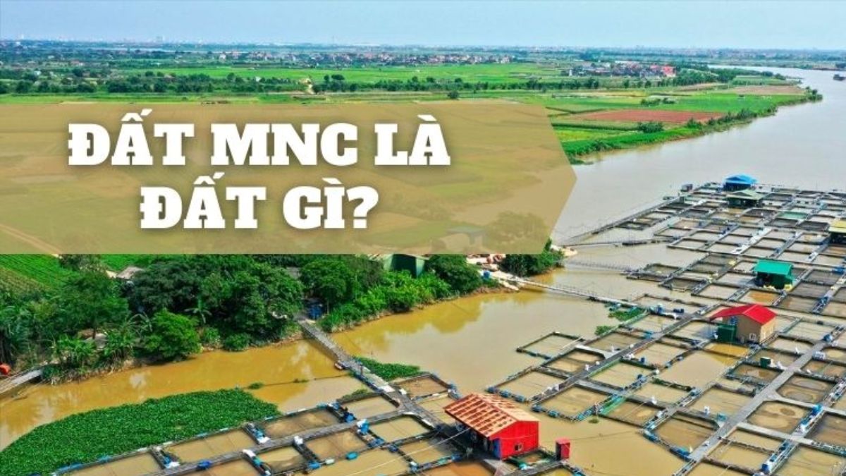 MNC Là Đất Gì? Đầu Tư Và Sử Dụng Sao Cho An Toàn Nhất
